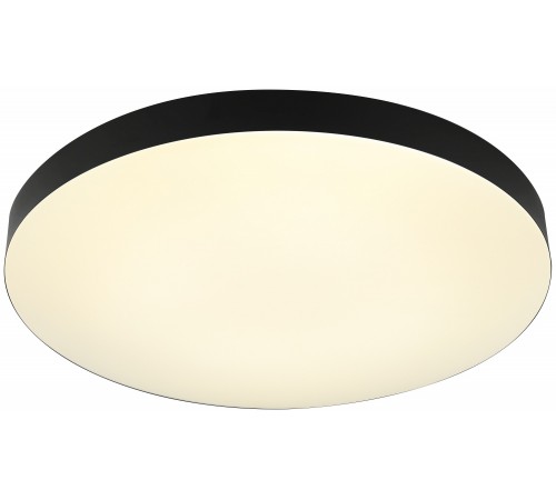 Накладной светильник Эра Relict 48 Pult SPB-6-60-RC BK Relict