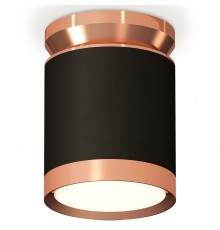 Накладной светильник Ambrella Light XS8142035 XS