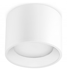 Накладной светильник Ambrella Light TN5321 TN