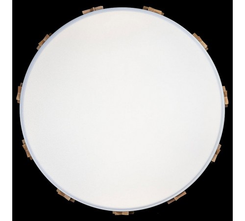 Накладной светильник Loft it 10006/36 White Axel 5