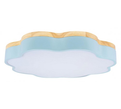 Накладной светильник Loft it 10225/36 Blue Axel