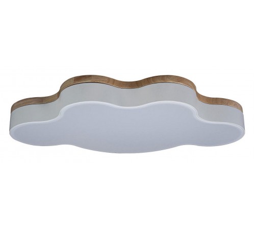 Накладной светильник Loft it 10005/36 White Axel 4