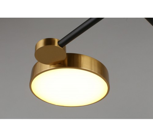 Потолочная люстра Aployt APL.043.07.65 Ines