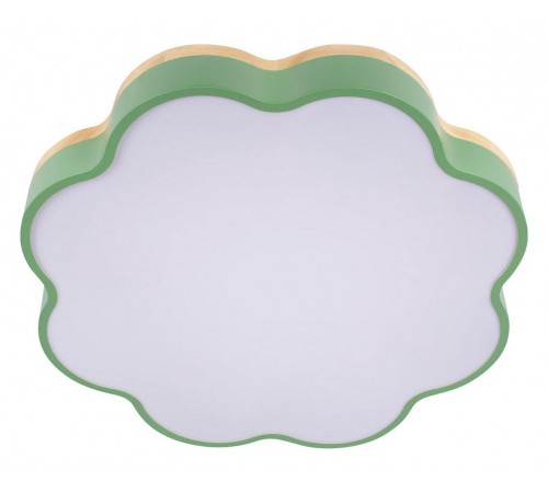 Накладной светильник Loft it 10225/36 Green Axel