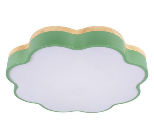 Накладной светильник Loft it 10225/36 Green Axel