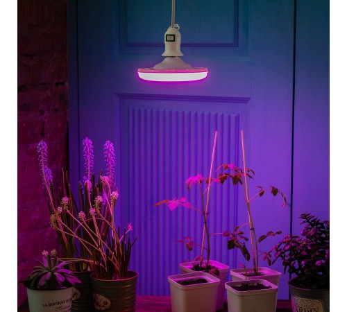 Подвесной светильник Uniel UL-00007434 DLC-P