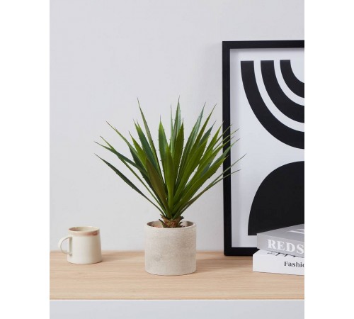 Растение в горшке (400x390) Tobetsu 428016