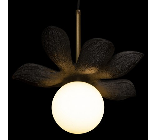 Подвесной светильник Loft it 10213/B Black Monro