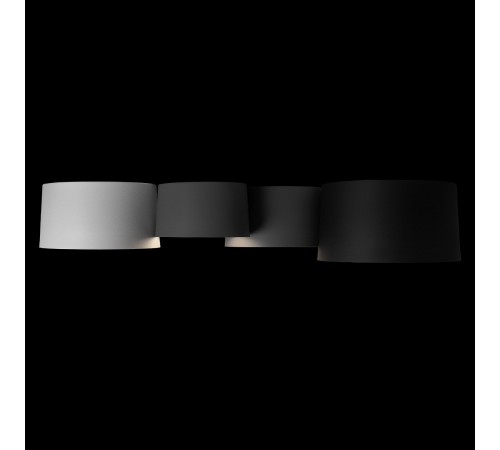 Потолочная люстра Loft it 10360/4 Duo