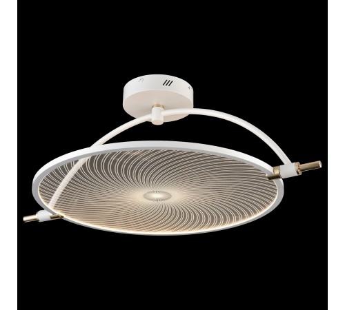 Светильник на штанге Wertmark WE430.03.007 Laura