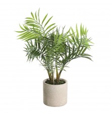 Растение в горшке (360x470) Tobetsu 428013