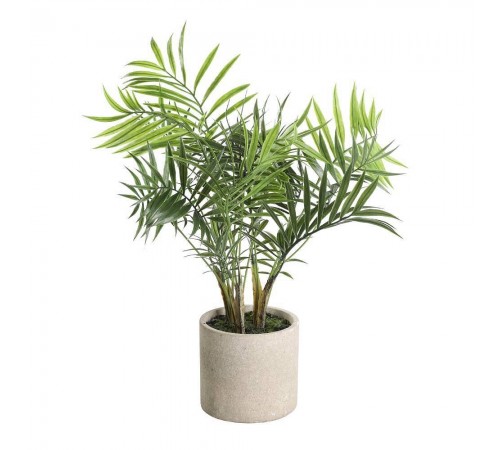 Растение в горшке (360x470) Tobetsu 428013