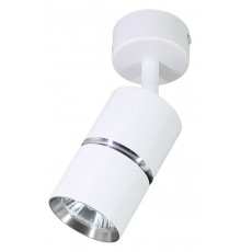 Спот Feron 48642 ML1861