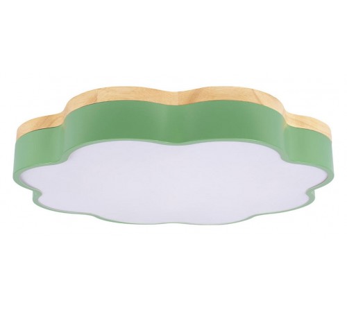 Накладной светильник Loft it 10225/36 Green Axel