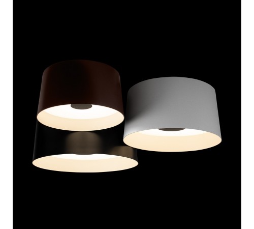 Потолочная люстра Loft it 10360/3 Duo