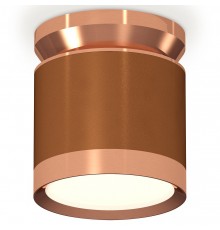 Накладной светильник Ambrella Light XS8117010 XS