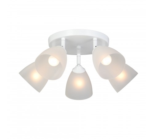 Потолочная люстра Vitaluce V4355-0/5PL V4355