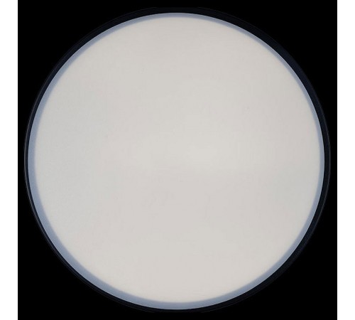 Накладной светильник Loft it 10002/12 Black Axel 1