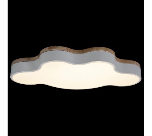 Накладной светильник Loft it 10005/36 White Axel 4