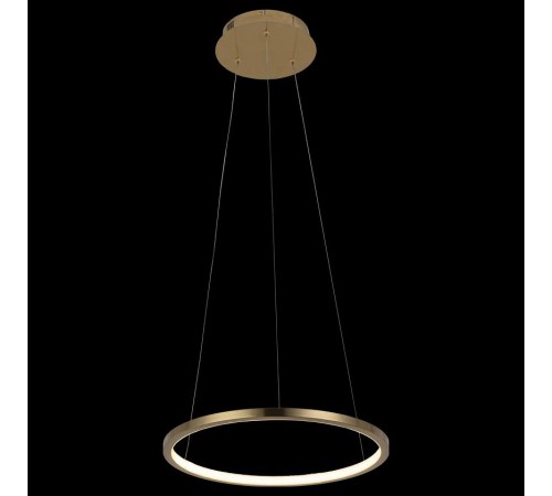 Подвесной светильник Loft it 10014S Ring