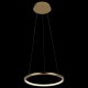 Подвесной светильник Loft it 10014S Ring