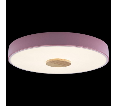 Накладной светильник Loft it 10003/24 Pink Axel 2