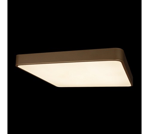 Накладной светильник Loft it 10228/D Flims