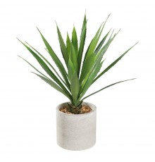 Растение в горшке (400x390) Tobetsu 428016