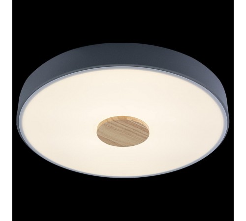 Накладной светильник Loft it 10003/24 Grey Axel 2