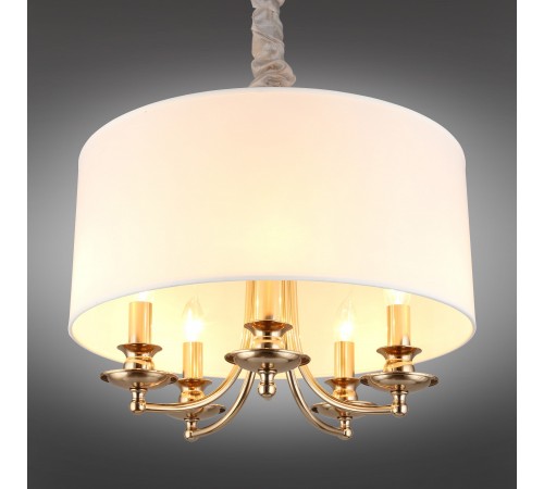 Подвесной светильник Aployt APL.721.06.05 Berze