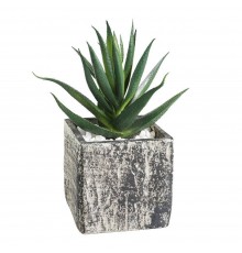 Растение в горшке (95x95x130) Chitose 428008