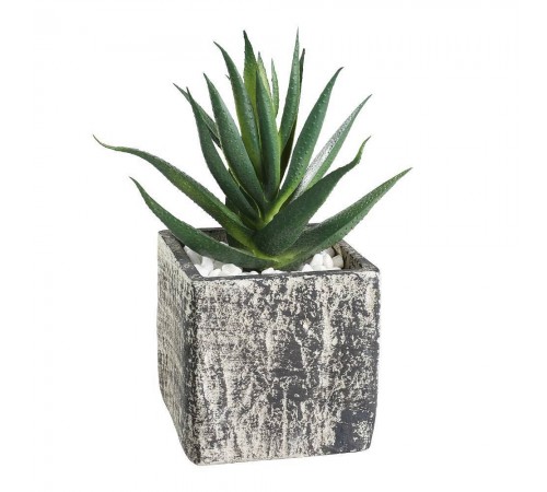 Растение в горшке (95x95x130) Chitose 428008