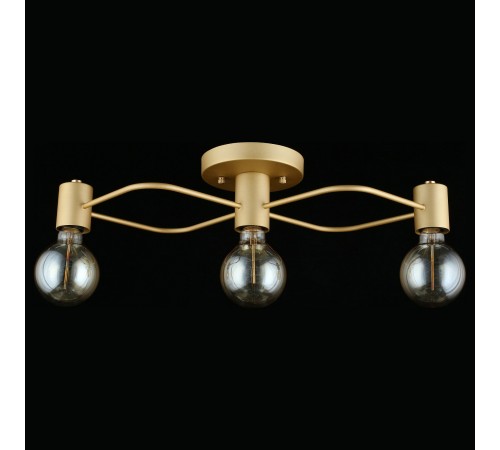 Потолочная люстра Aployt APL.911.07.03 Elison