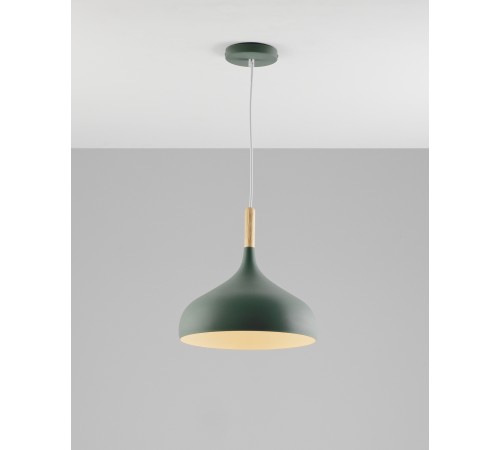 Подвесной светильник Moderli V1296-1P Eline