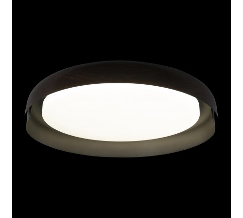 Накладной светильник Loft it 10198 Black Coin