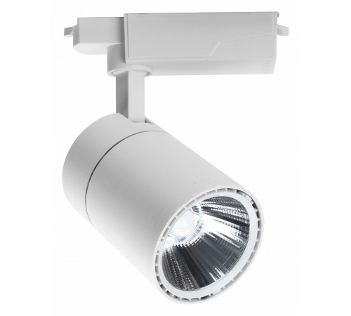 Светильник на штанге Escada 20032TRA/02LED SWH 20032