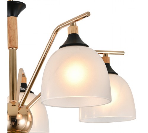 Подвесная люстра Escada 2123/5P Actinidia