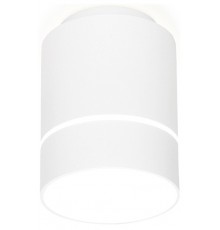 Накладной светильник Ambrella Light TN255 TN