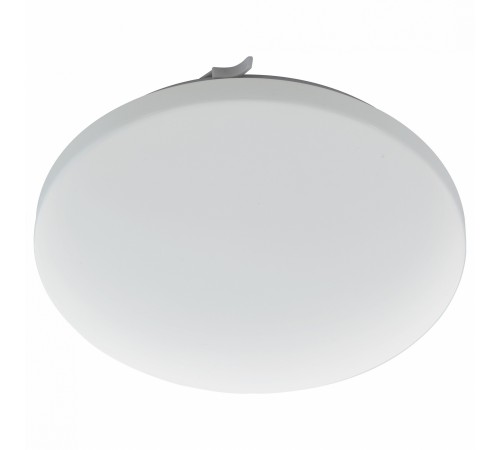 Накладной светильник Eglo ПРОМО 97884 Frania