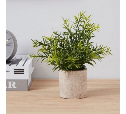 Растение в горшке (200x220) Chitose 428029