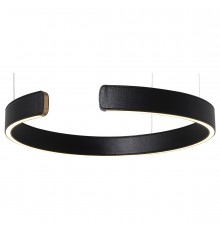 Подвесной светильник Loft it 10025/400 Black Ring