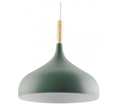 Подвесной светильник Moderli V1296-1P Eline