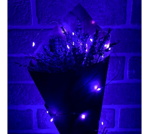 Гирлянда Нить ULD-S0200-020/SСB/2AA UL-00010897