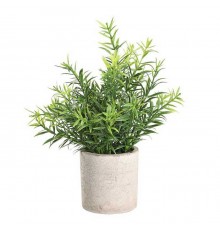 Растение в горшке (200x220) Chitose 428029