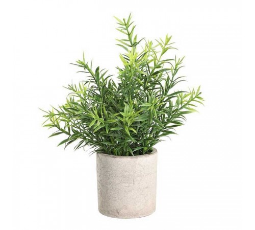 Растение в горшке (200x220) Chitose 428029