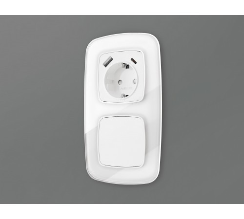 Накладка для розетки с заземлением и со шторками и 2хUSB type A и C Ambrella Volt OP1100 Quant