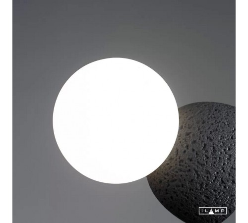 Накладной светильник iLamp 10695W/1-D100 BK-WH Foxtrot