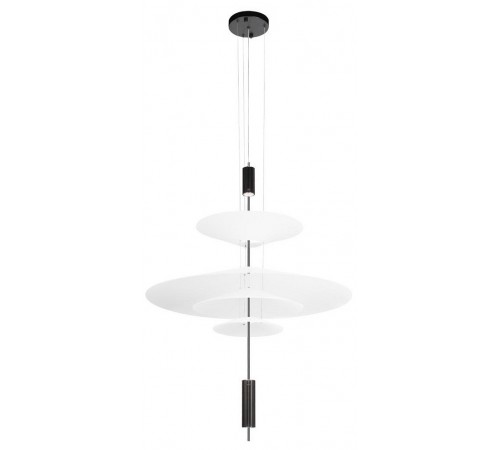 Подвесной светильник Loft it 10244/C Black Skylar