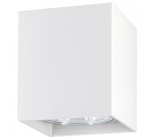 Накладной светильник Ambrella Light TN213139 TN