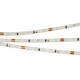 Лента светодиодная Arlight 024410(2) MICROLED